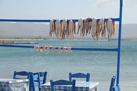 Tavolini e sedie blu in riva al mare con polipi stesi al sole