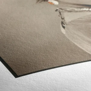 Extra Cotton Texture 20×30